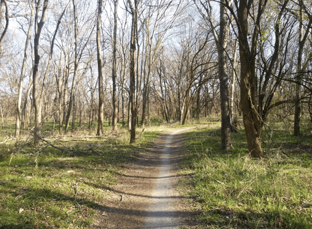 Rowlett Creek Preserve 2
