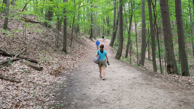 Saugatuck Dunes State Park 4