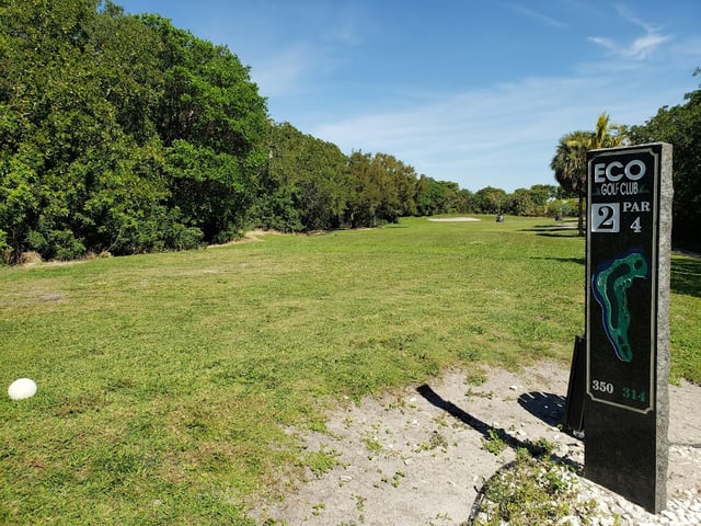 Eco Golf Club 4