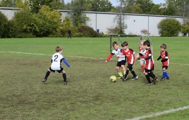 north french soccer complex 5