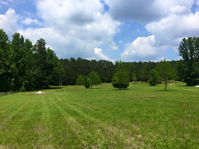 Boyd Pond Park10