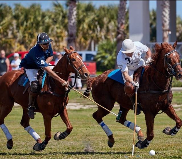 South Padre Island Equestrian Centre 6
