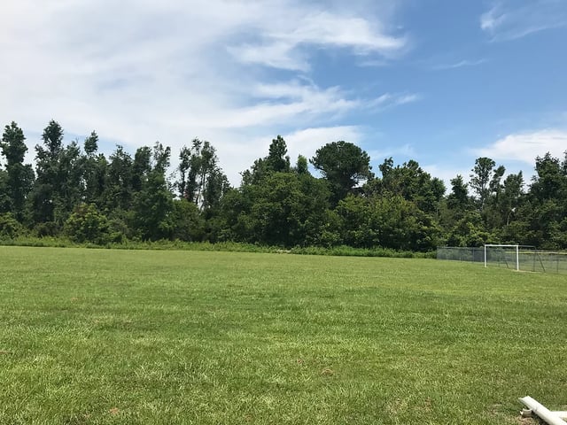 AnyConv.com__Scott Complex 6