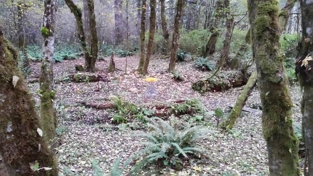 Camp Serene2