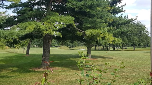 Wilson Road Golf Course