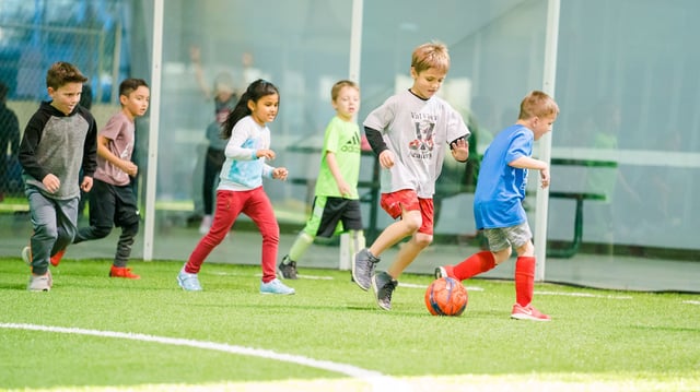 AnyConv.com__Cactus Yards 6