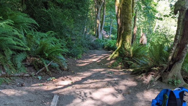 Terrace Creek Disc Golf 1