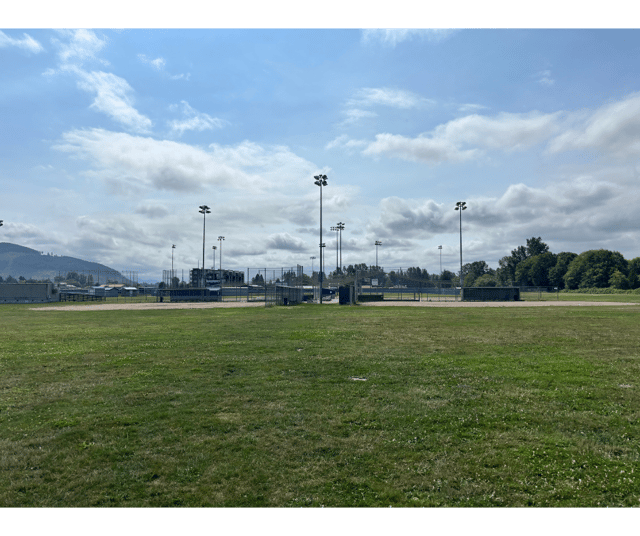 Facebook Post (1).png