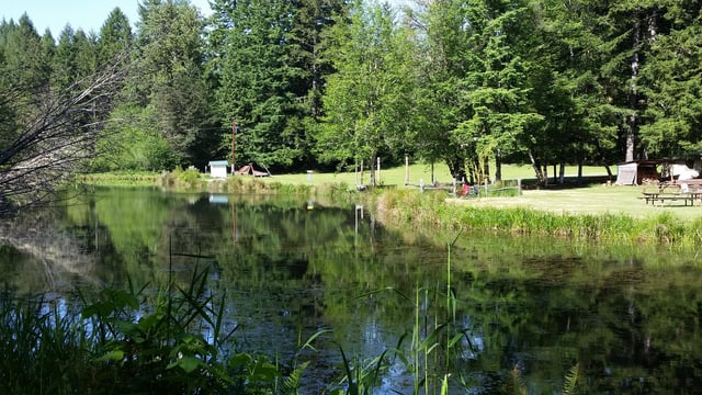 Camp Serene6