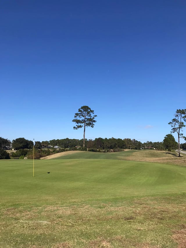 Royal St. Augustine Golf and Country Club 2