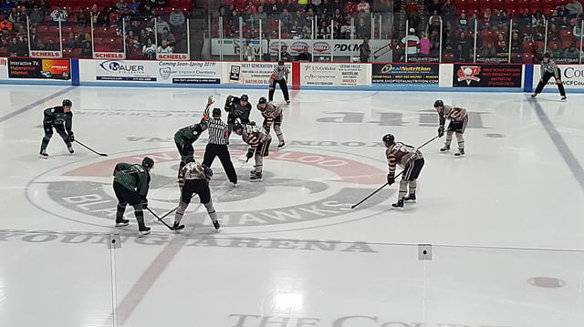 Young Arena 5