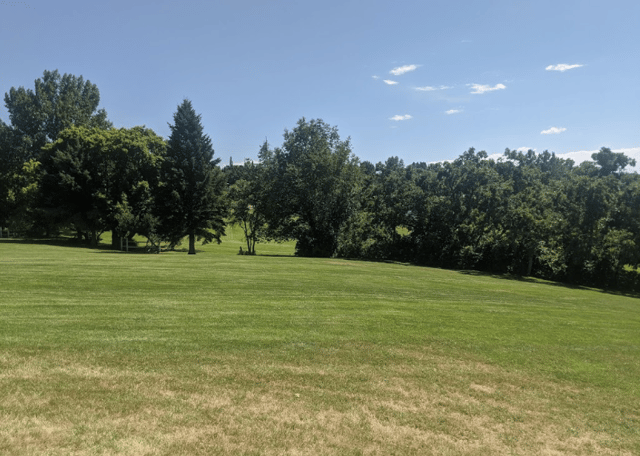 Beus Pond:Forest Green Park 2