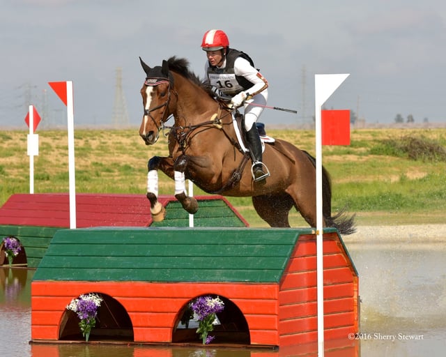 Fresno County Horse Park3