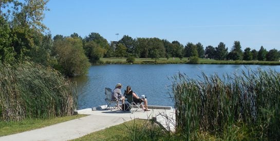 Cosmo- Bethel Park 4