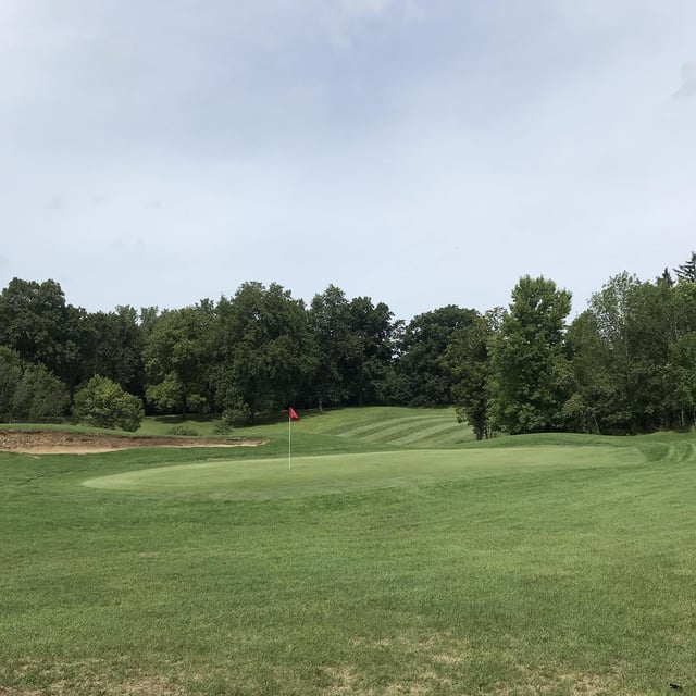 Collins Park Golf Club2