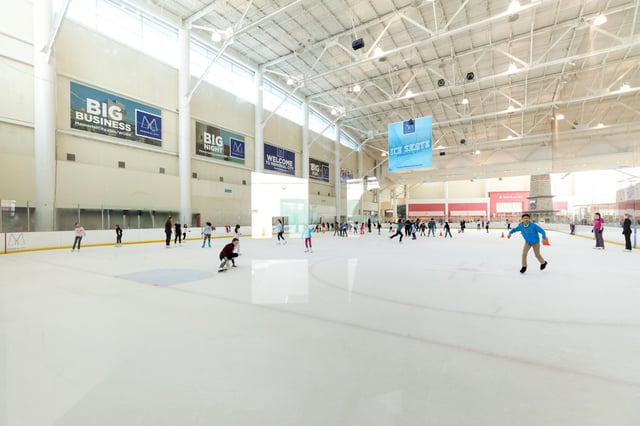 iceskatememorial.jpg