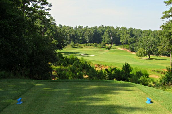 Palmetto Golf Club 3