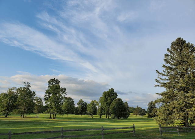 Custer Greens 3