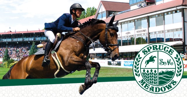 spruce meadows calgary horse.jpg