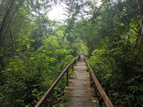 Vietnam 9