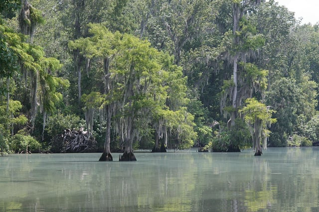 Shell Bluff Park