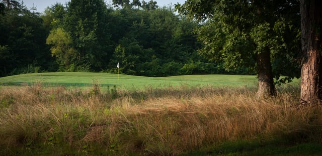 Knoxville Municipal Golf 2