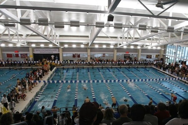 Kelsey Partridge Bird Natatorium pool.jpeg
