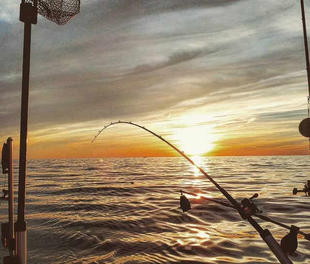 Lured Inn Charters 5