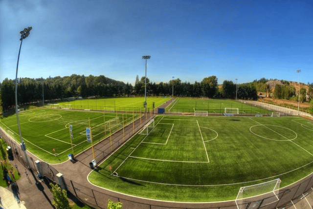 Screen Shot 2020-07-02 at 4.51.54 PM