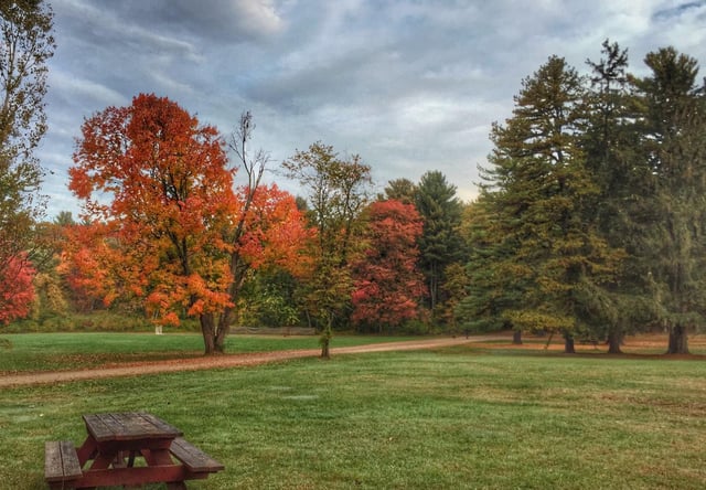 crandall park 4