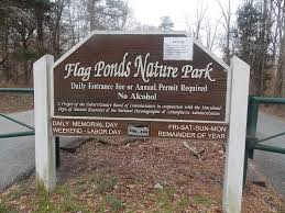 flag ponds park sign