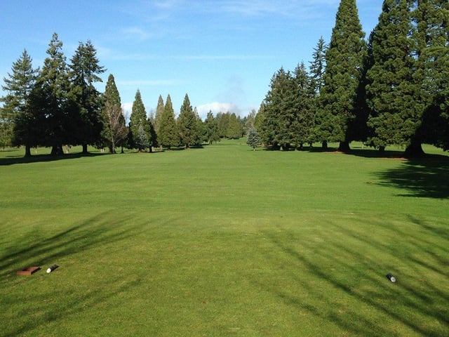 oak knoll golf course 5