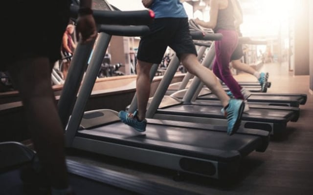 Excellence Gym Sports 2