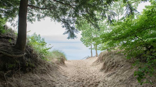Saugatuck Dunes State Park 2