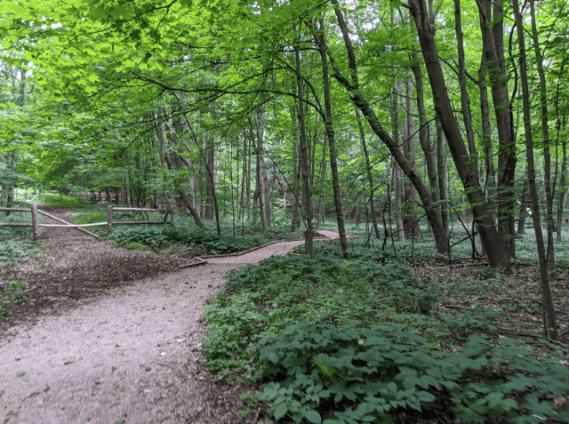 Arcadia Dunes 3