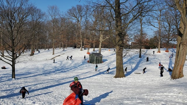 Murdock Park