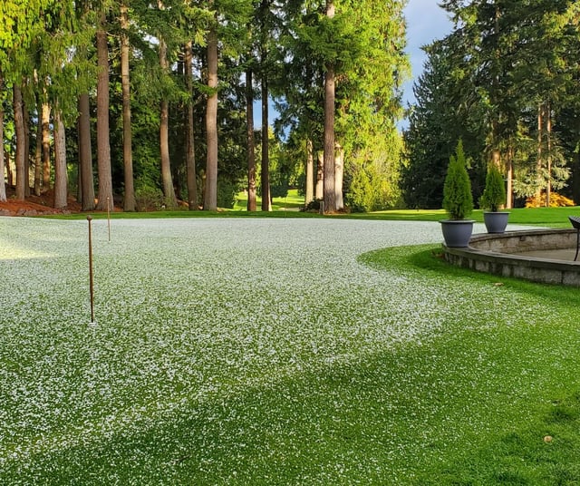 Mill Creek Country Club5