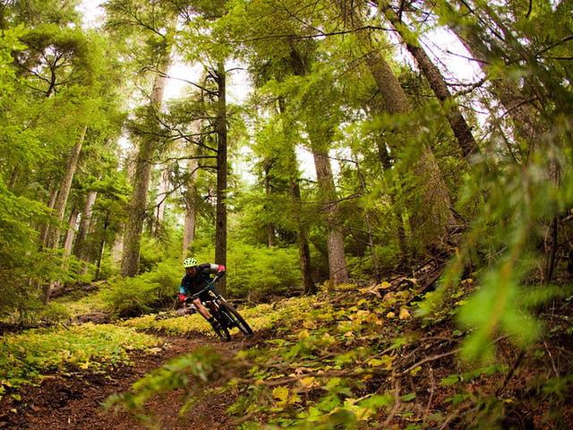 Alpine Trail6