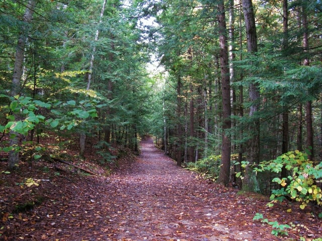 Berry Pond Preserve 4