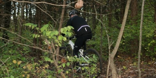 Rhett Walters Memorial Mountain Bike Trail 5