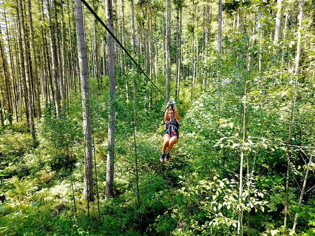 Deep Forest Challenge at Northwest Trek2