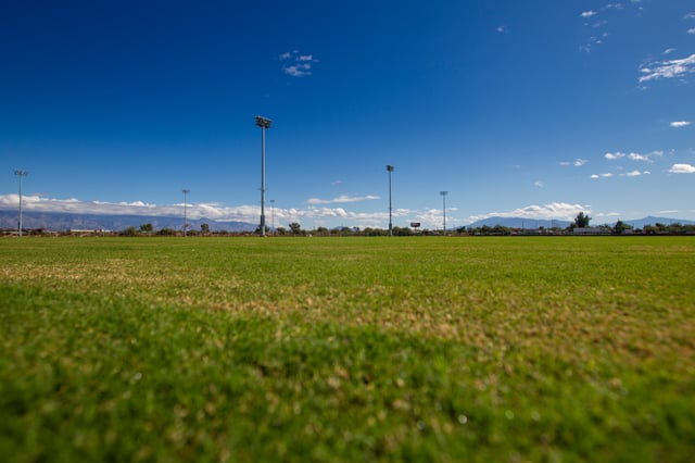 72202222_2909740695722519_5883355191150903296_n