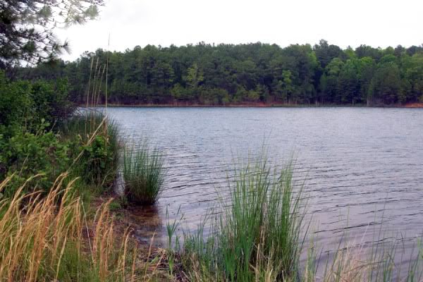 Lake Monticello2