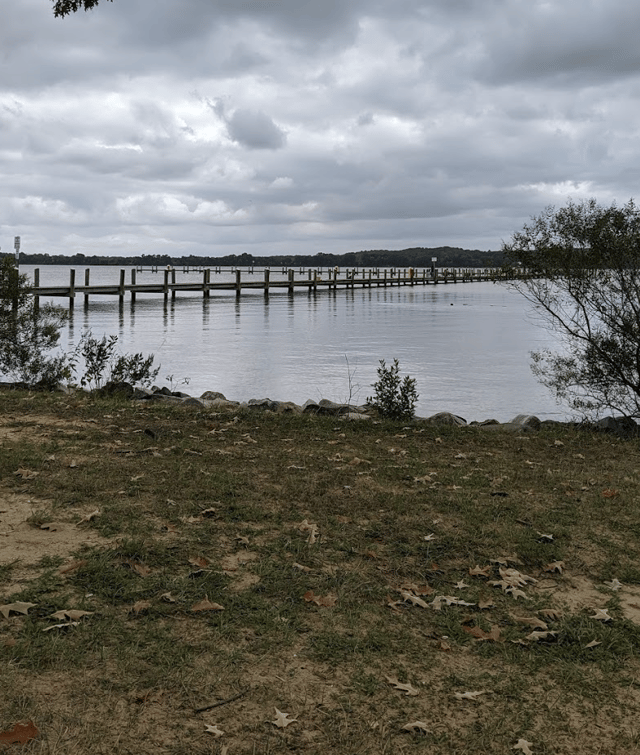 Wicomico Golf 1
