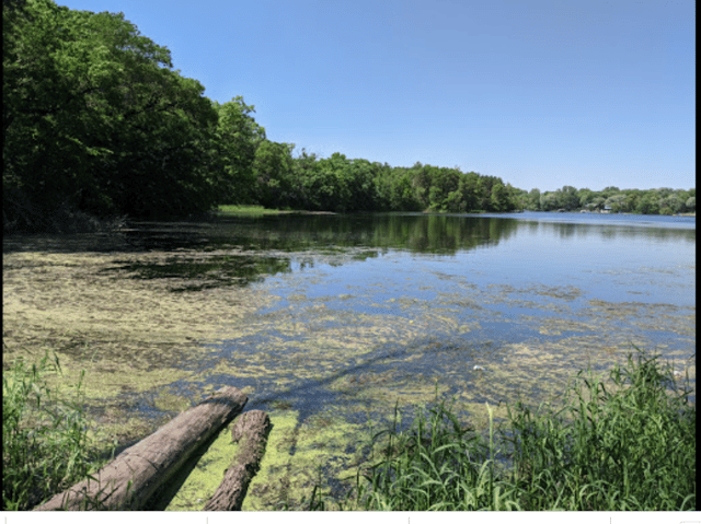 Alimagnet Lake Park  3