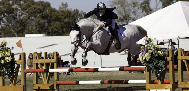 Texas Rose Horse Park 1