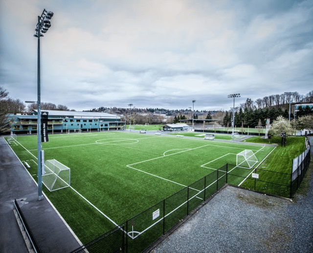 Screen Shot 2020-07-02 at 4.51.41 PM