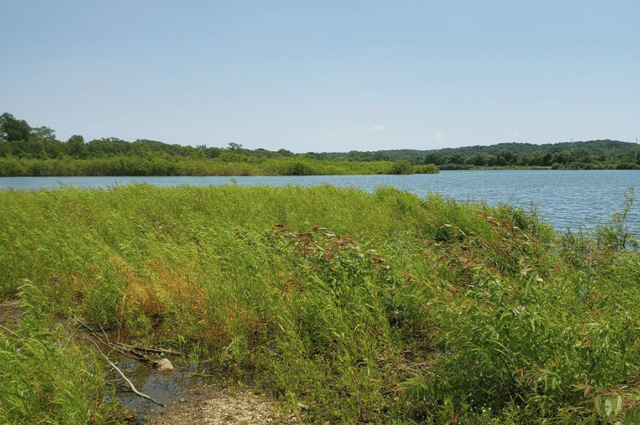 prairie park fishery 4