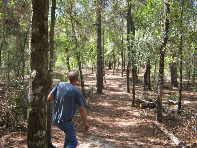 Whispering Pines Park Hole #9