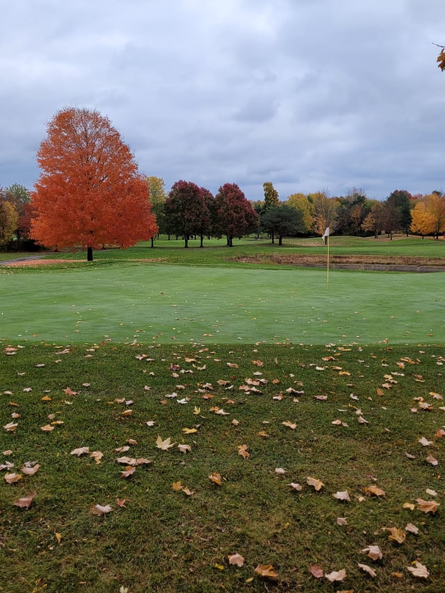 Golden Hawk Golf Club 5